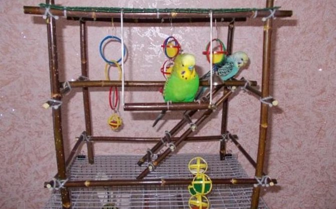 Качели для волнистого попугая, лесенка и игровой стенд