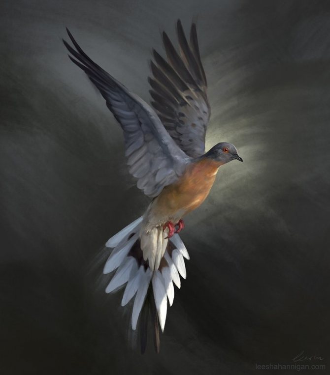 Странствующий голубь: как уничтожили самую многочисленную птицу на планете