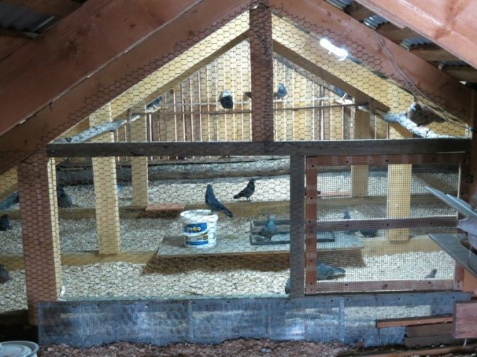 Строительство голубятни: высокое качество и функциональность своими руками