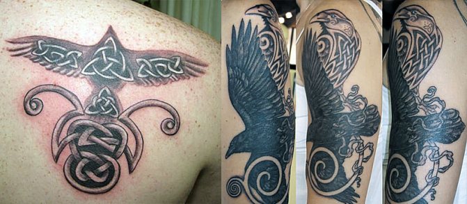 Татуировка ворон кельтский стиль