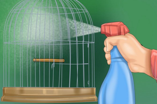 Уборка клетки попугая
